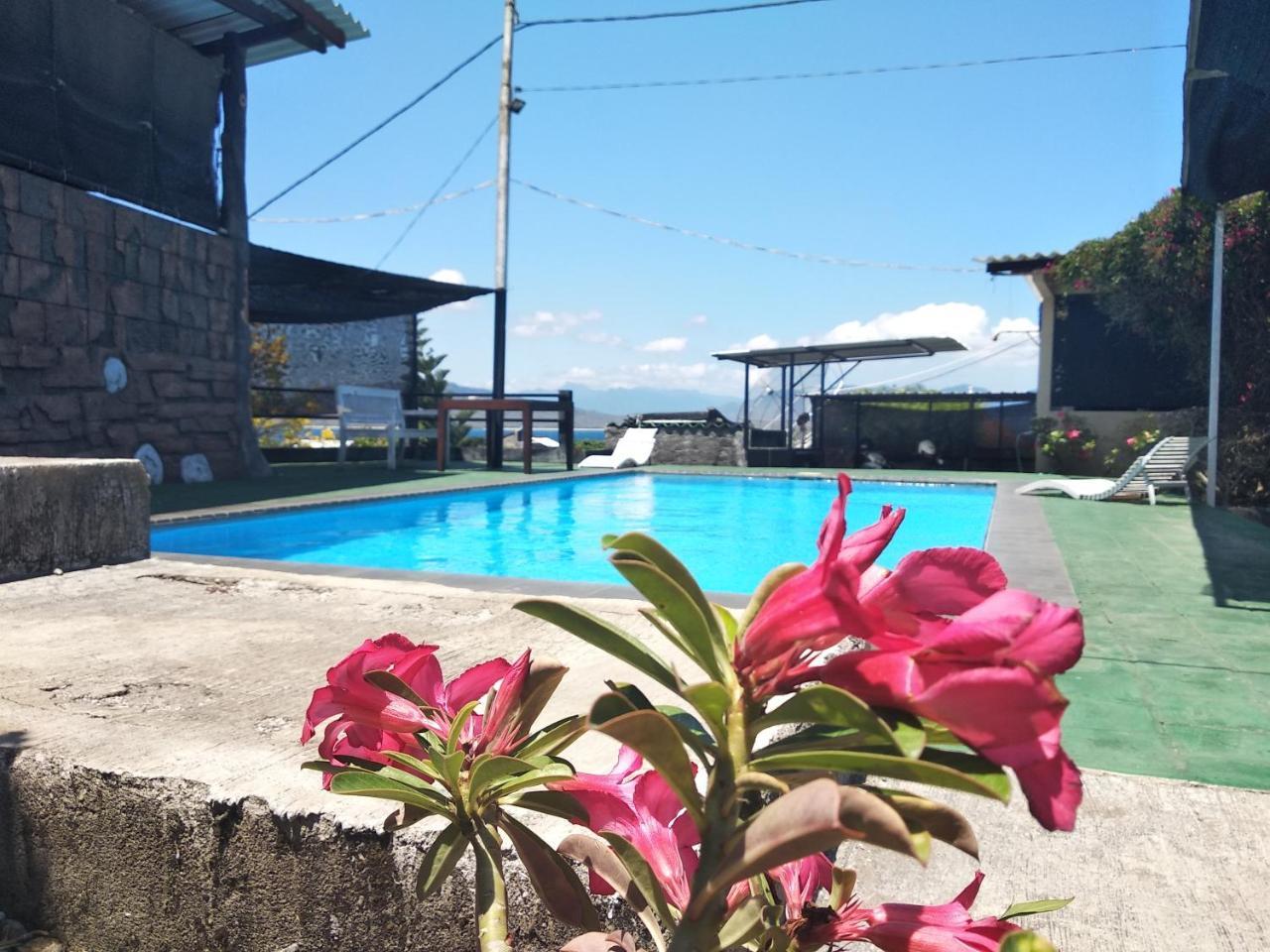 Panorama Homestay Banyuwangi  Eksteriør billede
